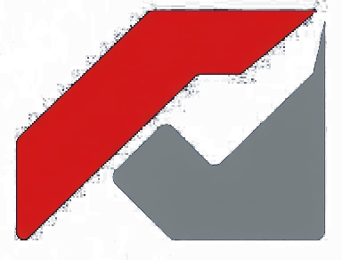 Immediate Connect Avis France Logo